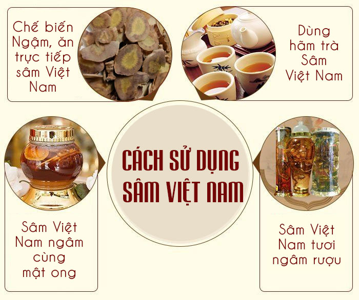 Cách sử dụng sâm Việt Nam đúng cách