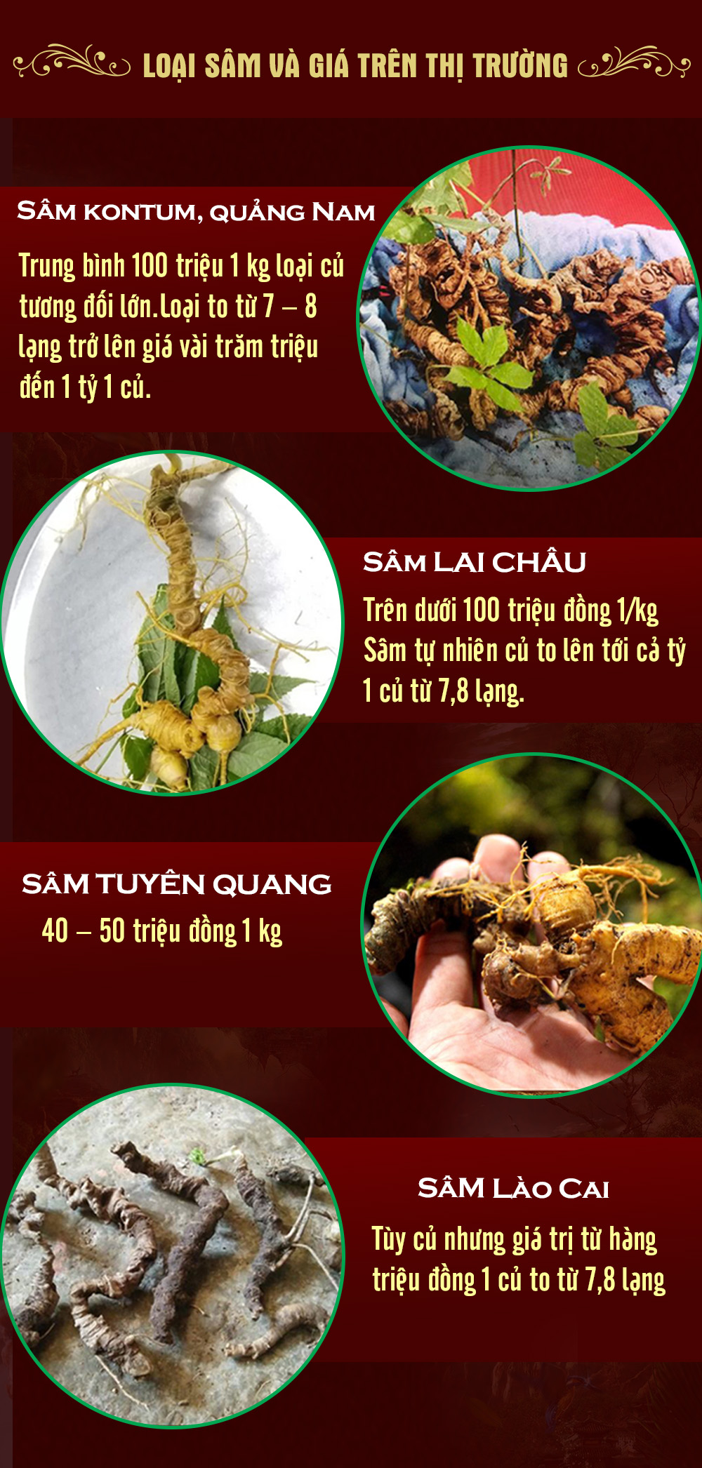 Giá các loại sâm Việt Nam trên thị trường